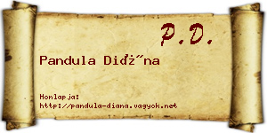 Pandula Diána névjegykártya